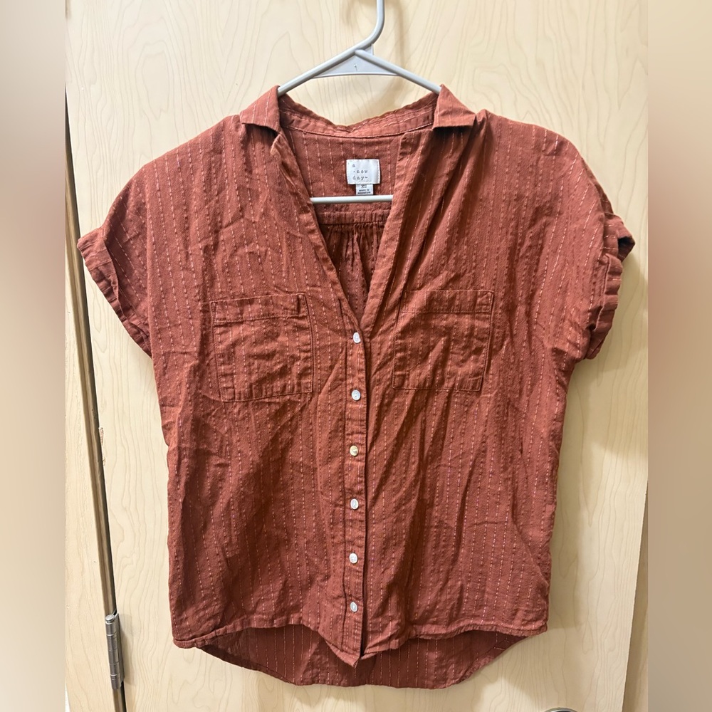 Striped brown/metallic button down blouse